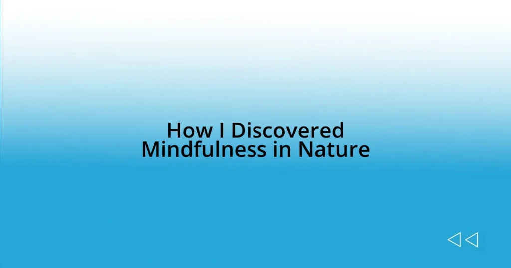 How I Discovered Mindfulness in Nature